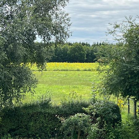 Apartmán Vejbaek Domus Padborg Exteriér fotografie