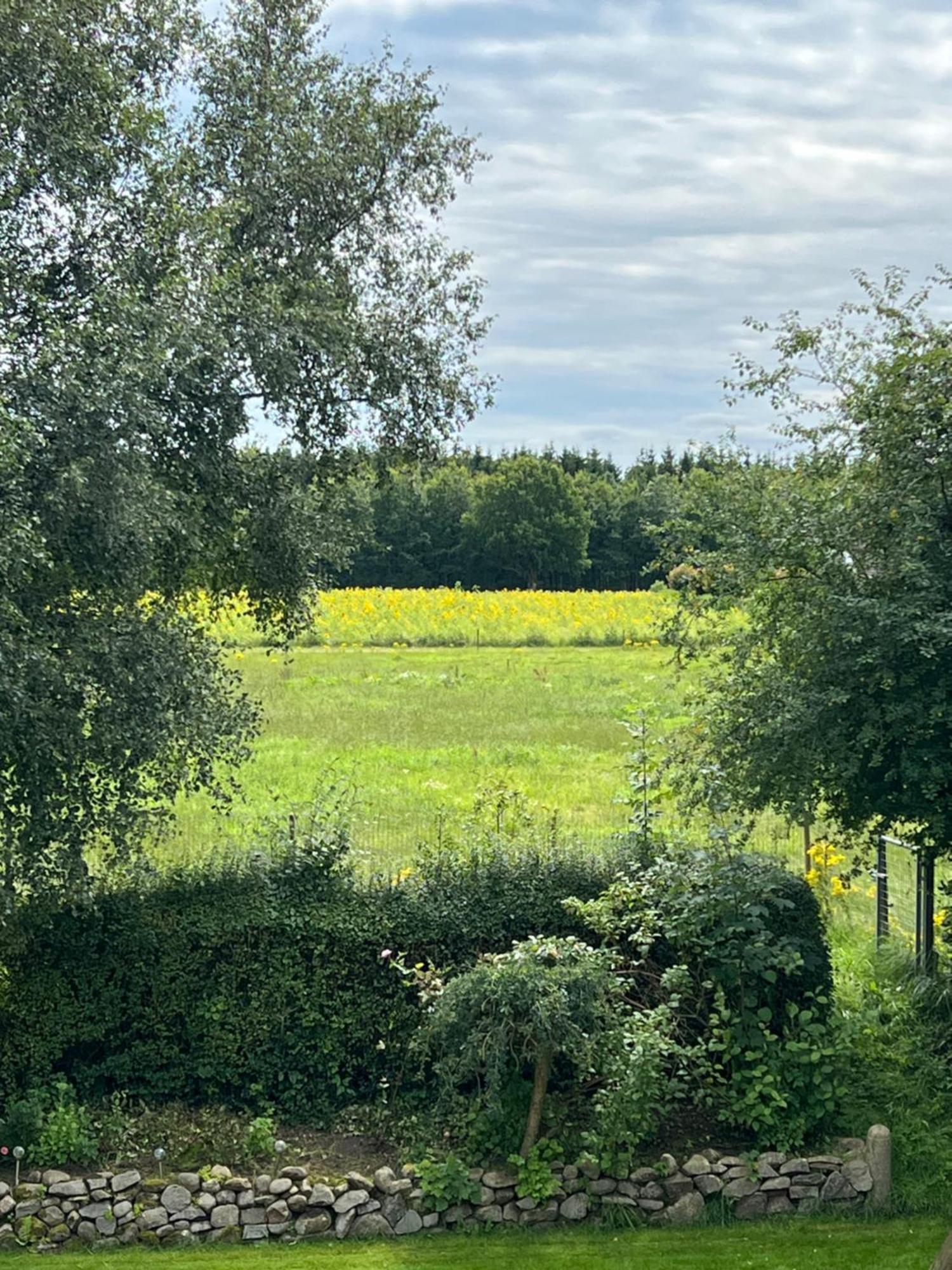 Apartmán Vejbaek Domus Padborg Exteriér fotografie